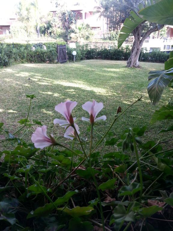 苏运河航道小型别墅 富尔纳里 外观 照片